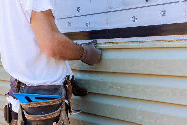 Affordable Siding Replacement solutions in Oldtown, MD
